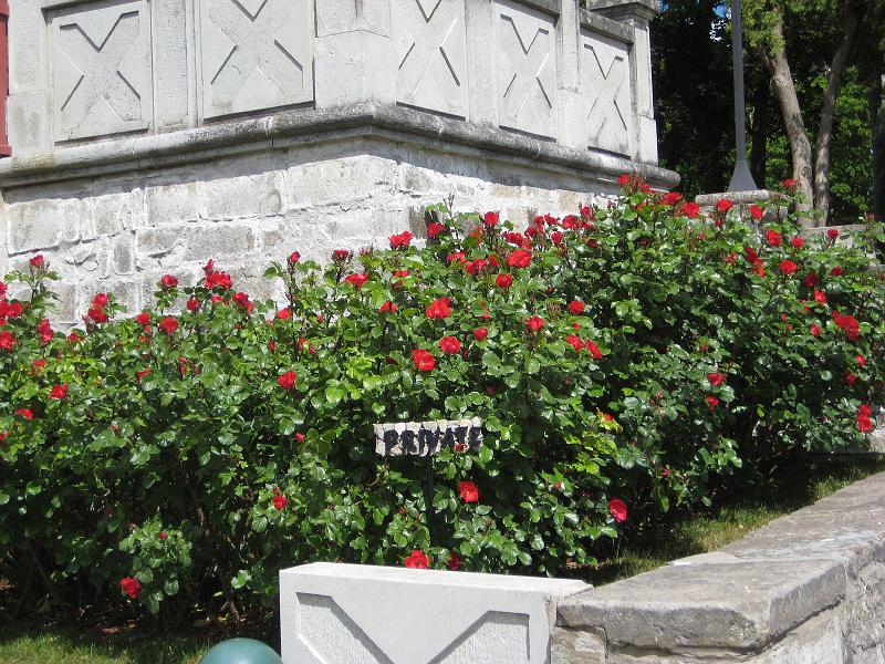 DS1000_0928.JPG