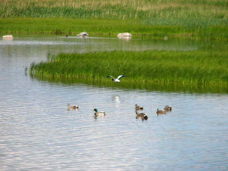 S2_6127.JPG