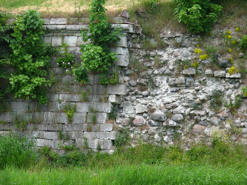 S2_6157.JPG