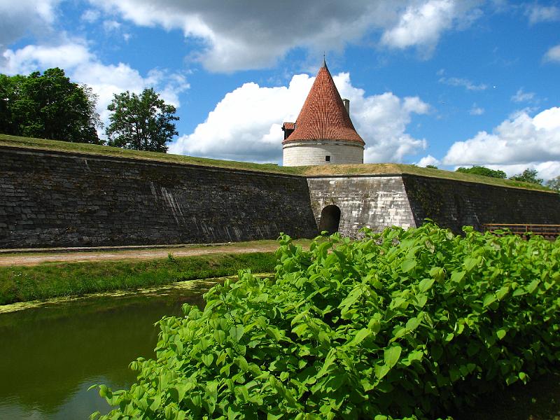 S2_6195.JPG