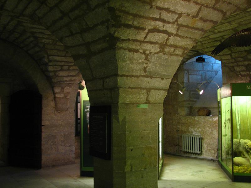 S2_6245.JPG