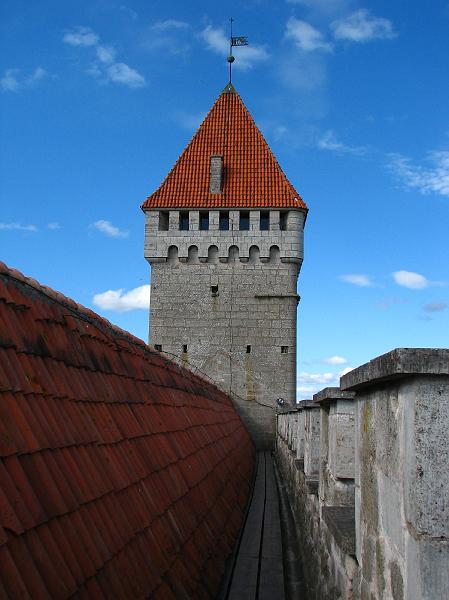 S2_6287.JPG