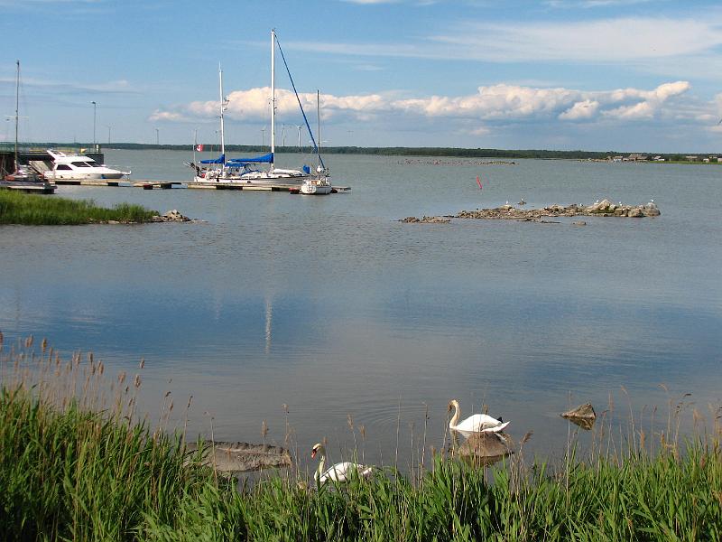 S2_6307.JPG