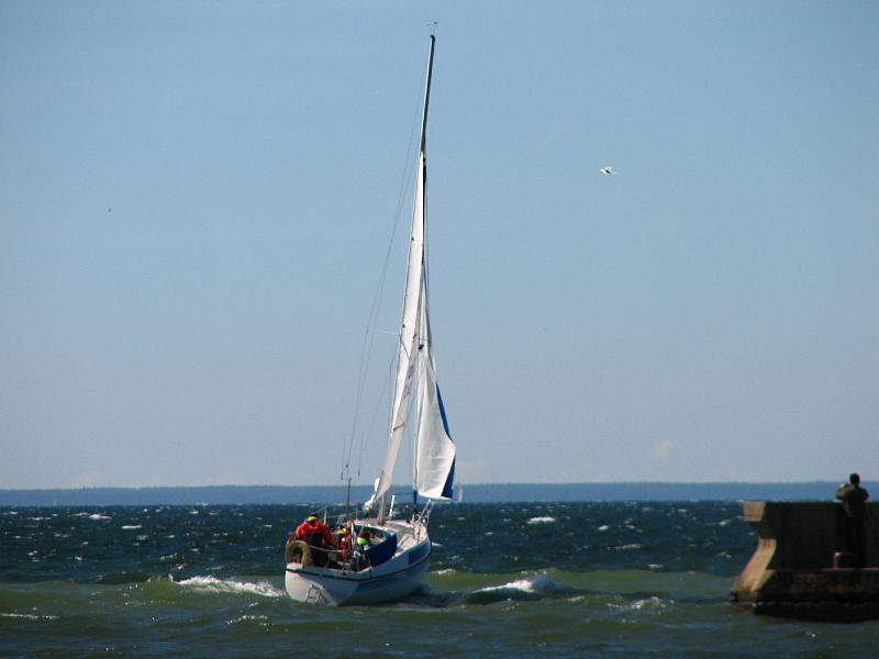 S2_6313.JPG