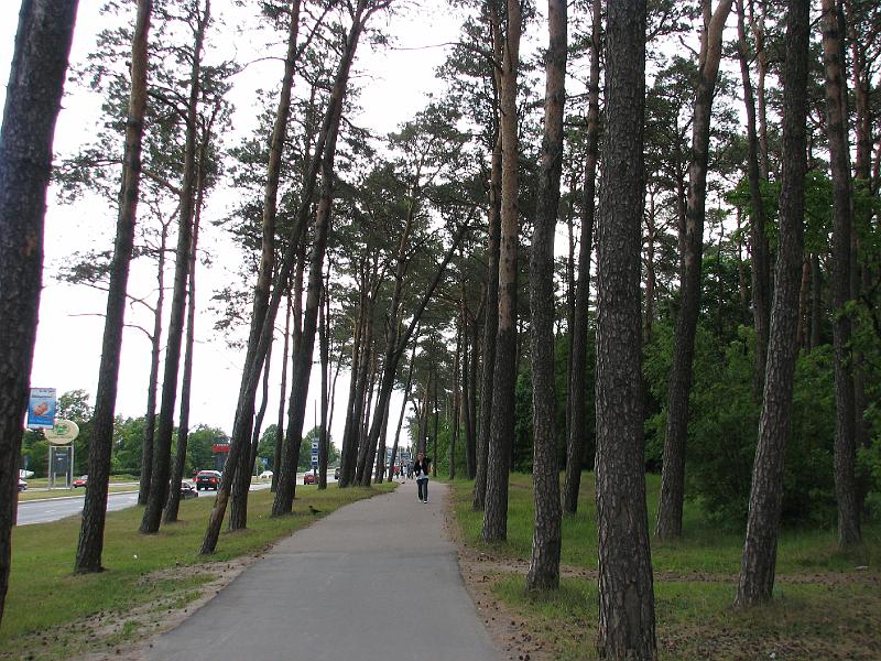 S2_6343.JPG