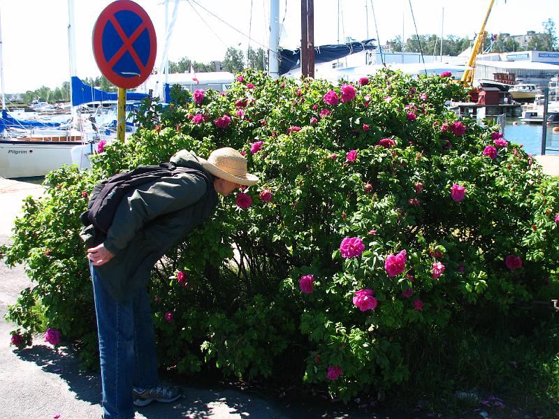 S2_6540.JPG