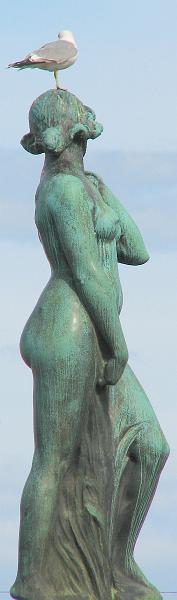 S2_6639.JPG