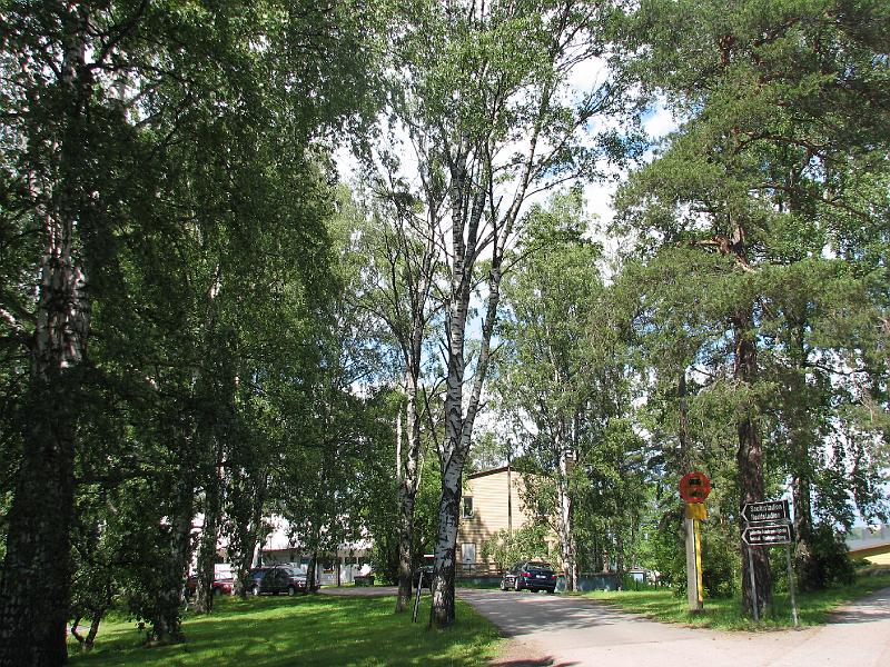 S2_7486.JPG