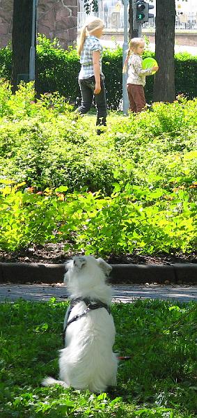 S2_7496.JPG