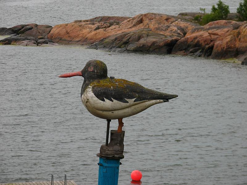 S2_7688.JPG