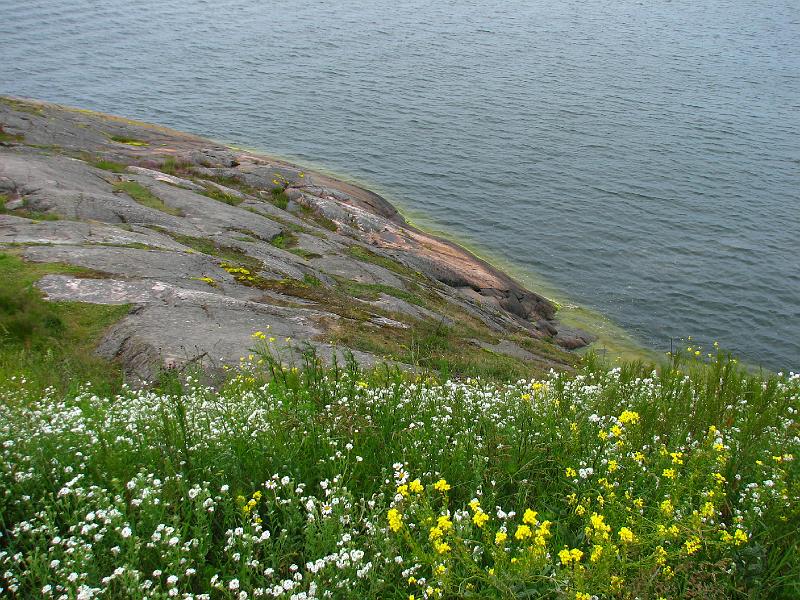 S2_7695.JPG