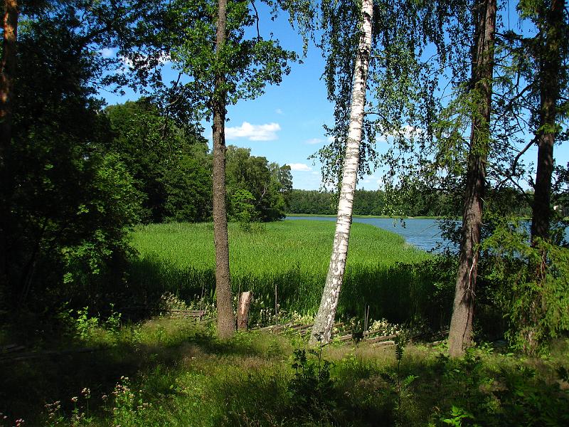 S2_8004.JPG