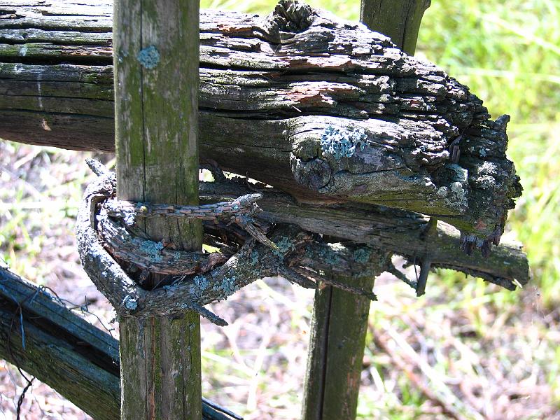 S2_8034.JPG