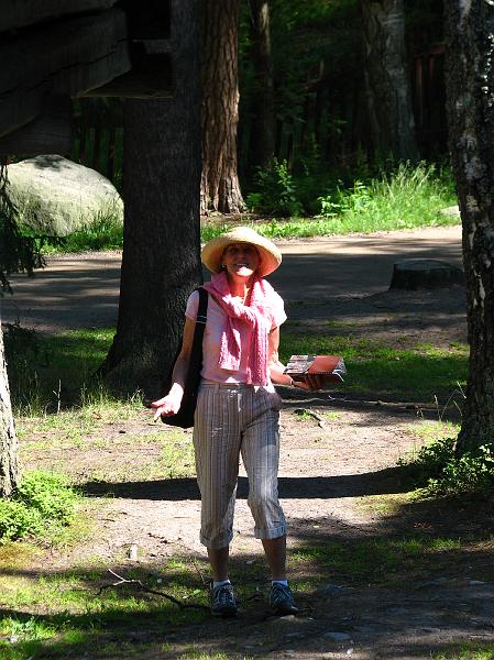 S2_8130.JPG