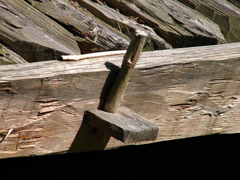 S2_8141.JPG