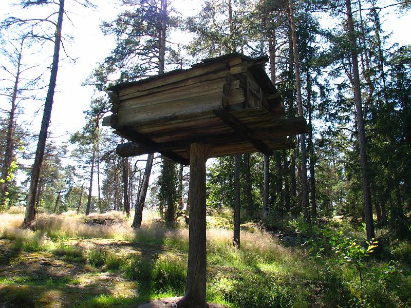 S2_8193.JPG
