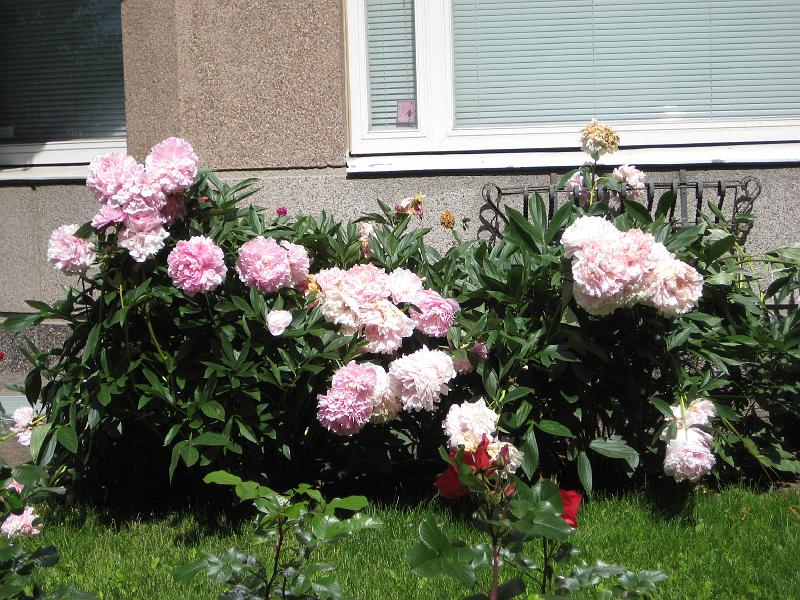 SD1000_0968.JPG