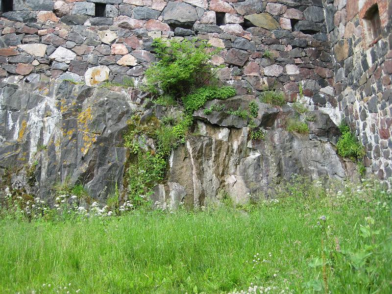 SD1000_0990.JPG