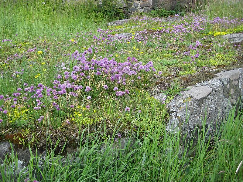 SD1000_1097.JPG