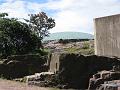 SD1000_0969
