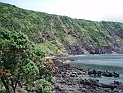 pict0088