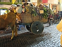 pict0255