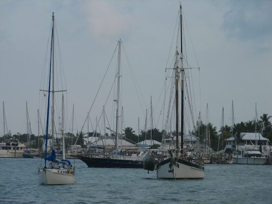 pict0010
