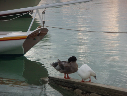 pict0394