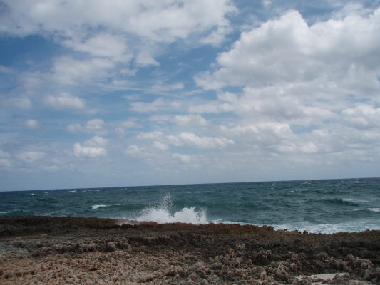 pict0407