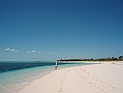 pict0006