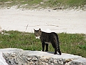 pict0207