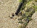 pict0235