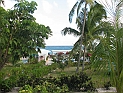 pict0295