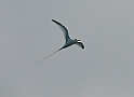 pict0357