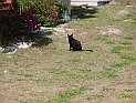 pict0362