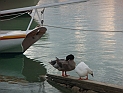 pict0394