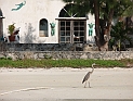pict0405