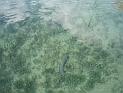 pict0434