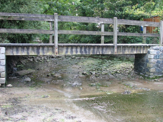 pict0006