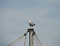 pict0012