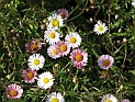 pict0229
