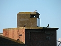 pict0006