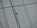 pict0274