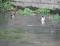 pict0364