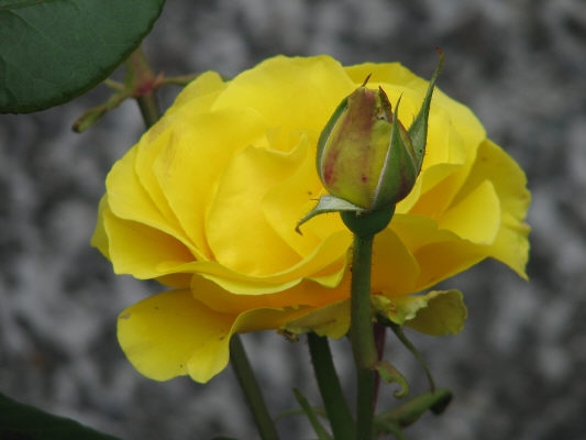 pict0495