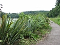 pict0013