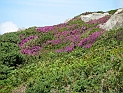 pict0095