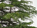 pict0167