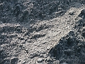 pict0271