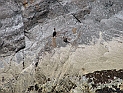 pict0277